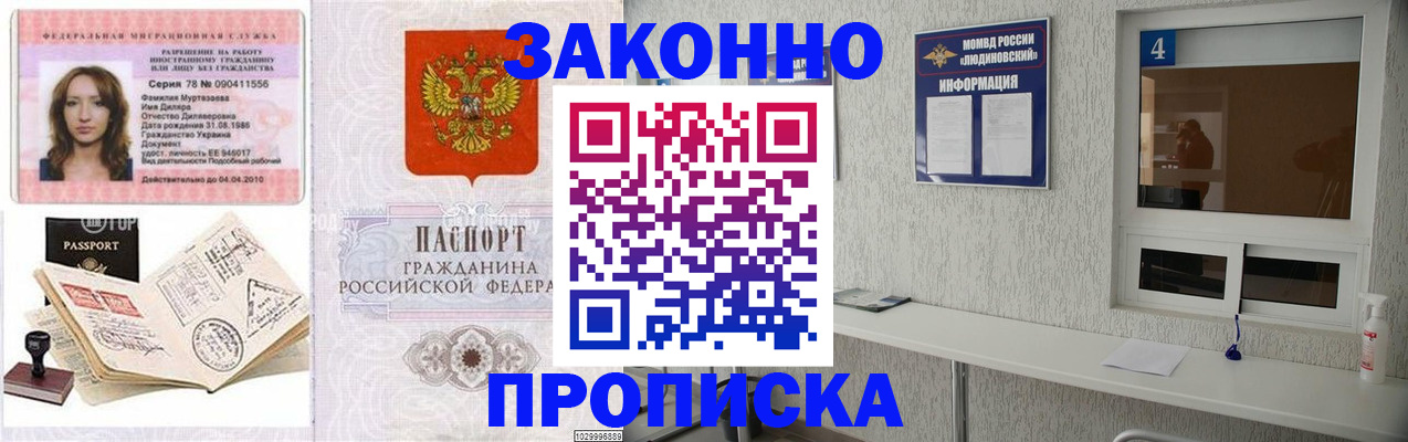 прописка в квартире в Московской области
